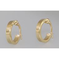 Picture of EARRINGS