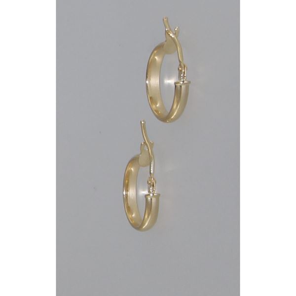 Picture of EARRINGS